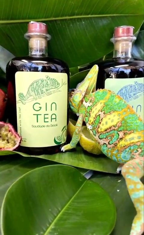 Karolina, il camaleonte, tra le bottiglie di Gin Tea